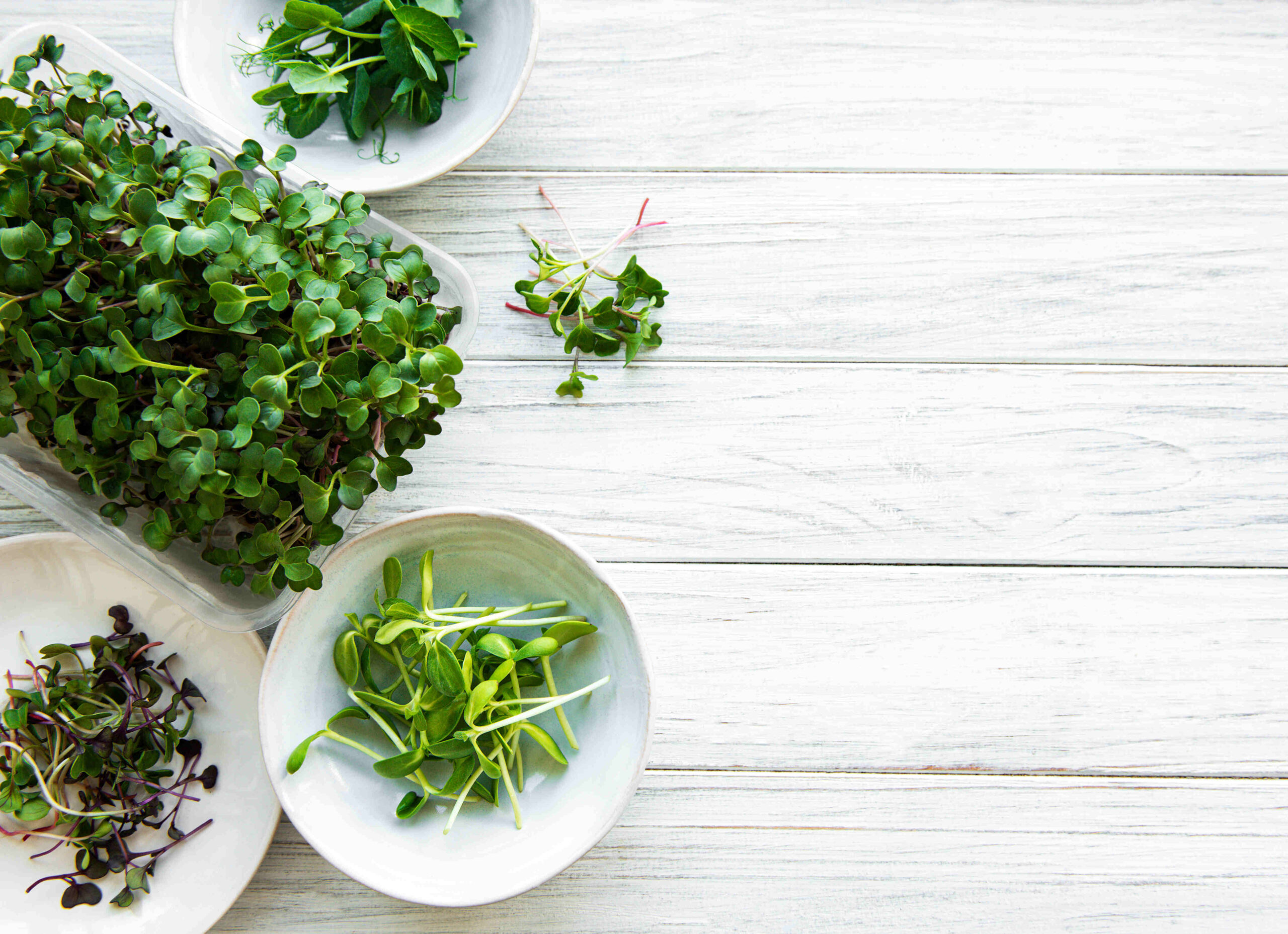 Microgreens